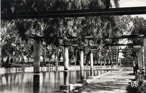 Palikao 500- Pergola COLLECTION DES AMIS DE ND DE SANTA CRUZ